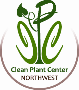 Clean Plant Center Northwest